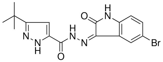 5-TERT-BU-2H-PYRAZOLE-3-CARBOXYLIC ACID (5-BR-2-OXO-2H-INDOL-3-YLIDENE)HYDRAZIDE