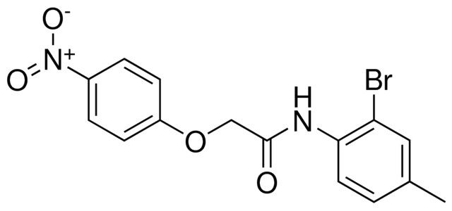 N-(2-BROMO-4-METHYL-PHENYL)-2-(4-NITRO-PHENOXY)-ACETAMIDE