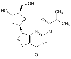 2'-Deoxy-N<sup>2</sup>-isobutyrylguanosine