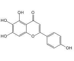 Scutellarein