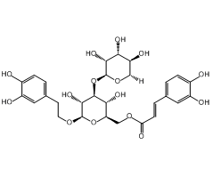 Isoacteoside