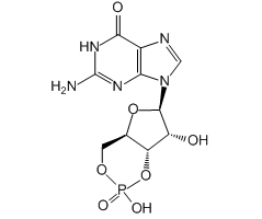 Guanosine 3',5'-cyclic monophosphate