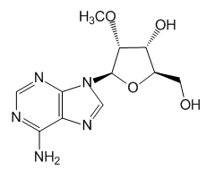 2'-O-Methyladenosine