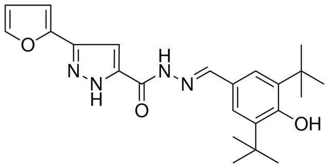 N'-[(E)-(3,5-DITERT-BUTYL-4-HYDROXYPHENYL)METHYLIDENE]-3-(2-FURYL)-1H-PYRAZOLE-5-CARBOHYDRAZIDE