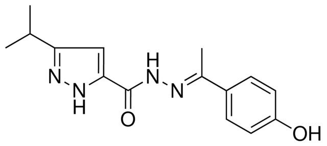 N'-(1-(4-HYDROXYPHENYL)ETHYLIDENE)-3-ISOPROPYL-1H-PYRAZOLE-5-CARBOHYDRAZIDE