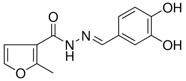 N'-(3,4-DIHYDROXYBENZYLIDENE)-2-METHYL-3-FUROHYDRAZIDE