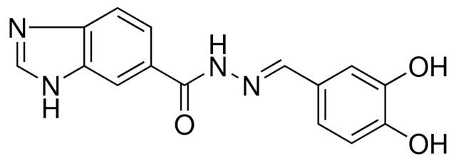 N'-(3,4-DIHYDROXYBENZYLIDENE)-1H-BENZIMIDAZOLE-6-CARBOHYDRAZIDE