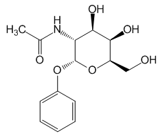 Phenyl 2-acetamido-2-deoxy--D-glucopyranoside