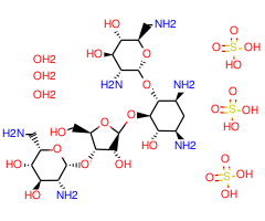 Neomycin sulfate, an aminoglycoside antibiotic and calcium channel protein inhibitor