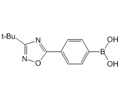 4-(3-tert-Butyl-1,2,4-oxadiazol-5-yl)phenylboronic acid