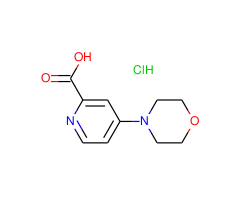 4-Morpholin-4-yl-pyridine-2-carboxylic acid x HCl