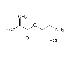 2-Aminoethyl Methacrylate Hydrochloride