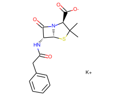 Penicillin G Potassium Salt