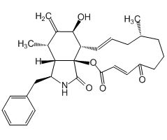 Cytochalasin A