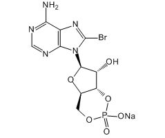 8-Bromoadenosine 3',5'-cyclic monophosphate sodium salt