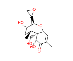 Deoxynivalenol