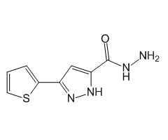 3-(Thiophen-2-yl)-1H-pyrazole-5-carbohydrazide