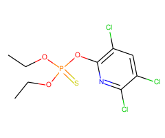 Chlorpyrifos solution, 100 g/mL in acetone