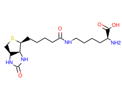 Biocytin