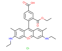 5-Carboxyrhodamine 6G, succinimidyl ester, single isomer