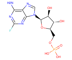 Fludarabine Monophosphate