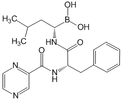 Bortezomib