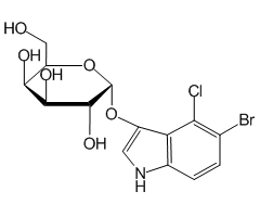 5-Bromo-4-chloro-3-indolyl -D-galactopyranoside