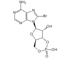 8-Bromoadenosine 3',5'-cyclic monophosphate