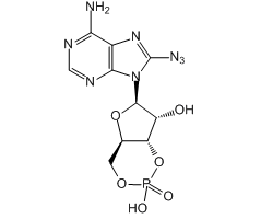 8-Azidoadenosine 3':5'-cyclic monophosphate