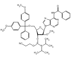 2'-OMe-Bz-A Phosphoramidite