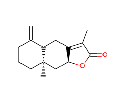 AtractylenolideII