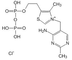 Thiamine Pyrophosphate Chloride