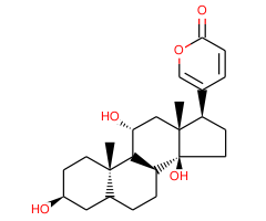 Gamabufalin