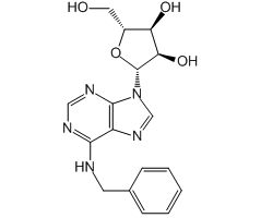 N<sup>6</sup>-Benzyladenosine