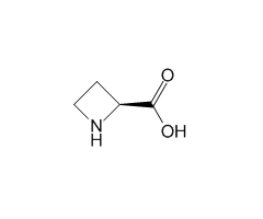 L-Azetidine-2-carboxylic acid