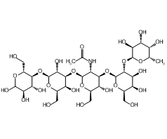 Lacto-N-fucopentaose I