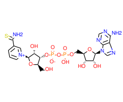 Thionicotinamide adenine dinucleotide