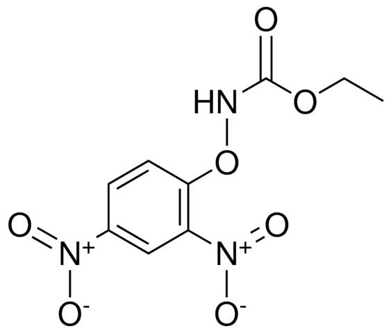 ETHYL (2,4-DINITROPHENOXY)CARBAMATE