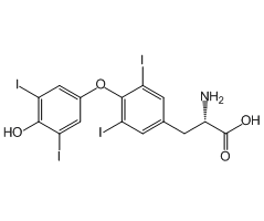 L-Thyroxine