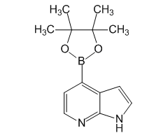 7-Azaindole-4-boronic acid pinacol ester