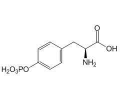 O-Phospho-L-tyrosine