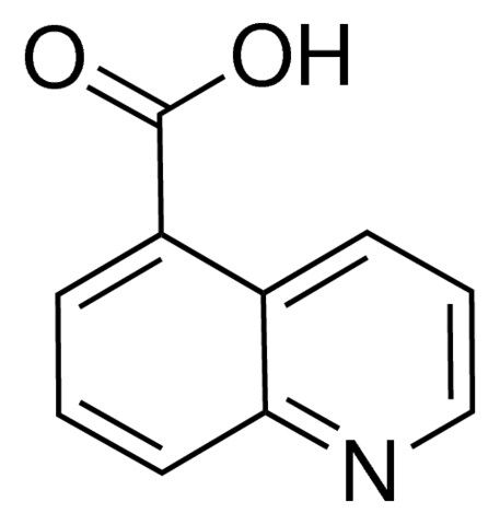 5-Quinolinecarboxylic Acid