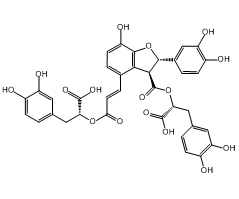 Salvianolic Acid B