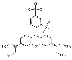 Sulforhodamine B acid chloride, mixture of isomers