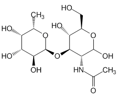 2-Acetamido-2-deoxy-3-O-(-L-fucopyranosyl)-D-glucopyranose