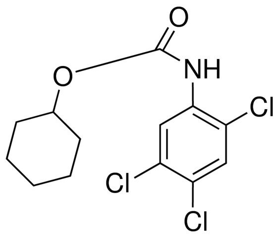 CYCLOHEXYL N-(2,4,5-TRICHLOROPHENYL)CARBAMATE