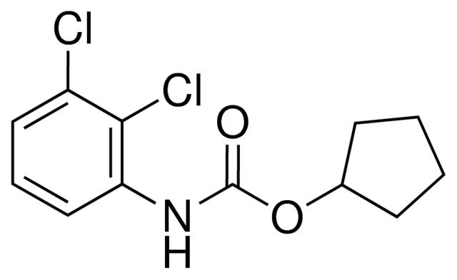 CYCLOPENTYL N-(2,3-DICHLOROPHENYL)CARBAMATE