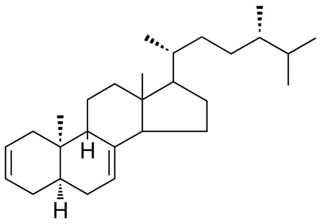 5-ALPHA,9-BETA,10-ALPHA-ERGOSTA-2(?),7-DIENE