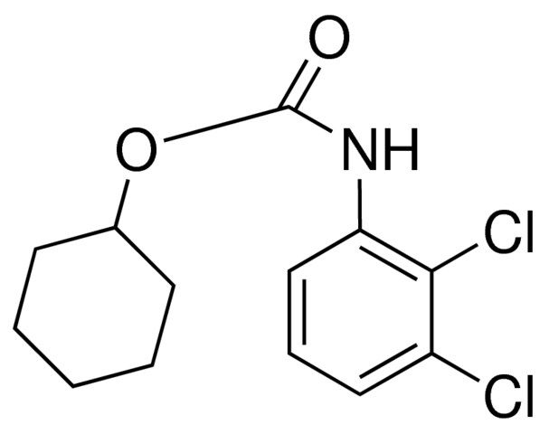 CYCLOHEXYL N-(2,3-DICHLOROPHENYL)CARBAMATE