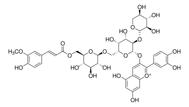 Cyanidin 3-<i>O</i>-[-<sc>D</sc>-Xylopyranosyl-(1,2)-[(4-hydroxy-3-methoxycinnamoyl)-(6)--<sc>D</sc>-glucopyranosyl-(1,6)]--<sc>D</sc>-galactopyranoside]